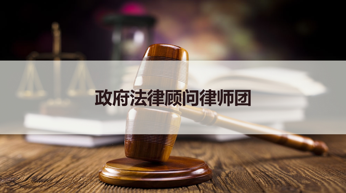 政府法律顾问律师团